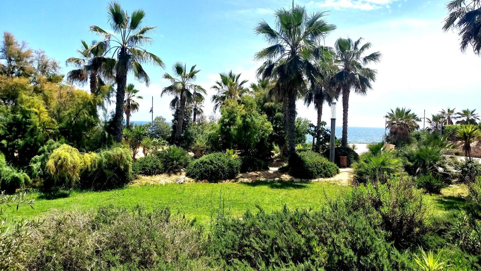 Punta Prima Torrevieja Fantazy01 Appartement Buitenkant foto