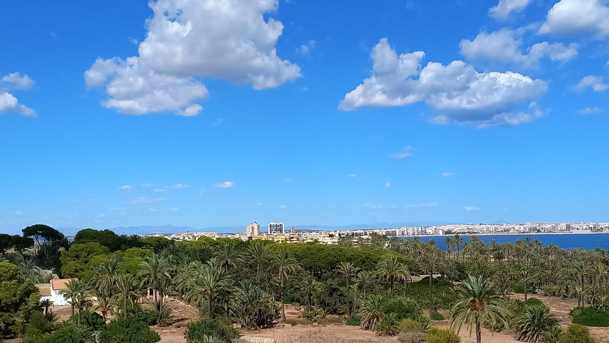 Punta Prima Torrevieja Fantazy01 Appartement Buitenkant foto